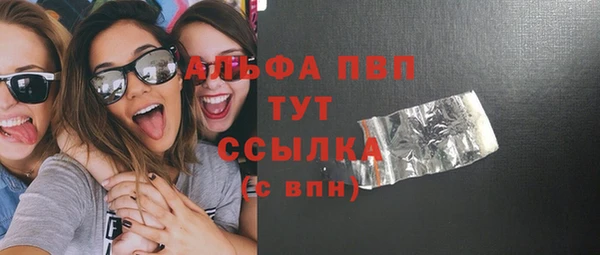 стафф Богданович