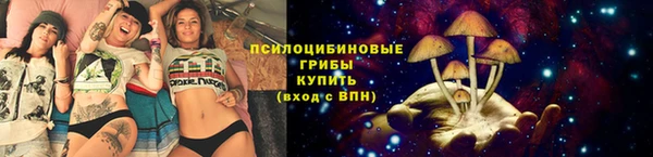 spice Бронницы