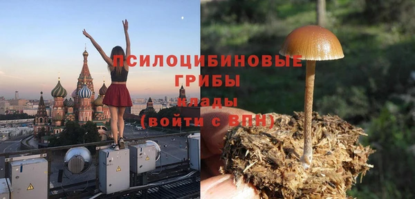 прущая мука Верхний Тагил